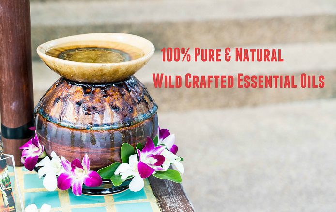 Deep Thoughts On The Goodness Of Wild Crafted Essential Oils essential oils