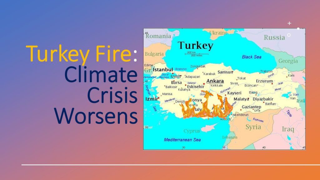 Turkey Fire 2021 – Climate in Crisis Turkey Fire