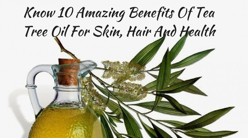 Know 10 Amazing Benefits Of Tea Tree Oil For Skin, Hair And Health tea tree oil