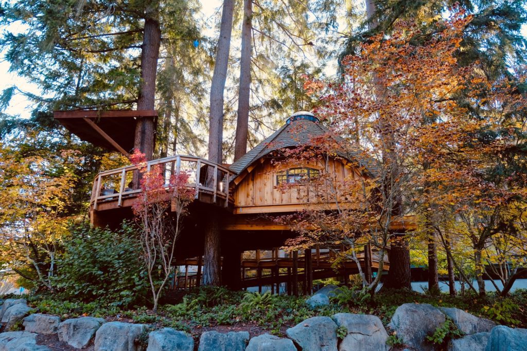 Tips For Building A Grown-Up Treehouse brown wooden house between trees at daytime